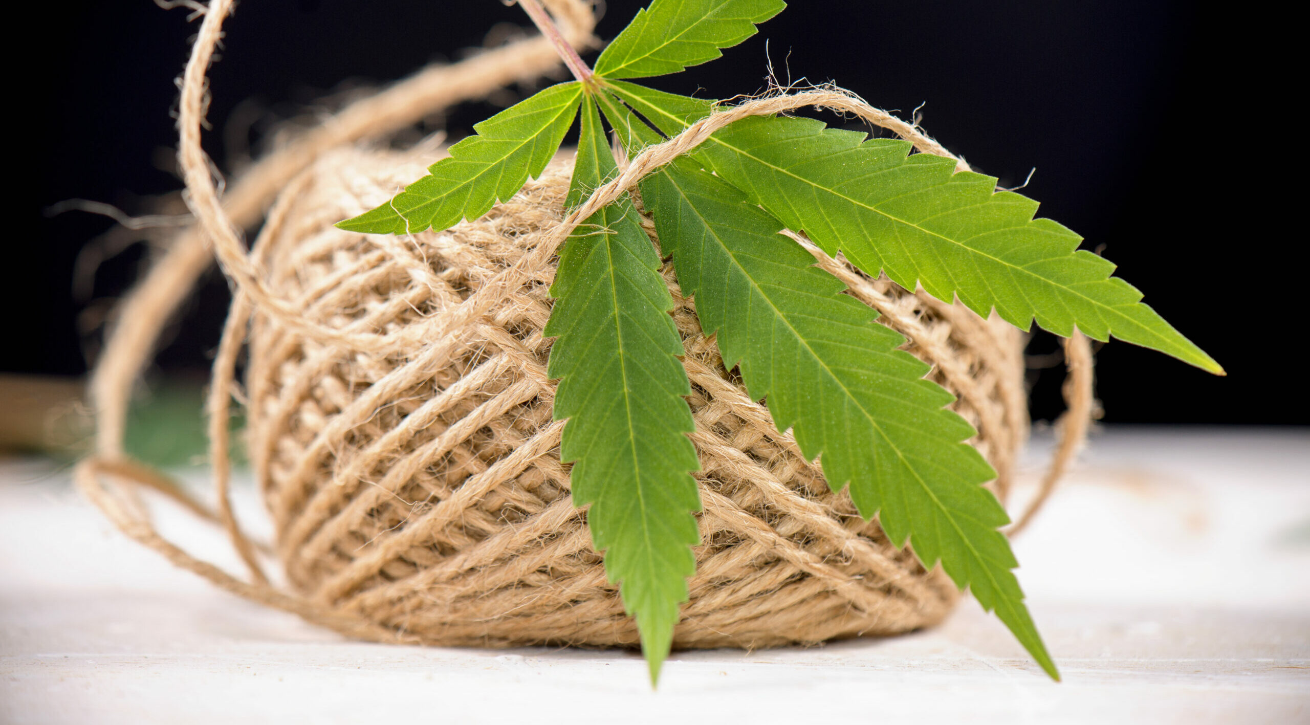 Detail of hemp fiber twine and cannabis leaf