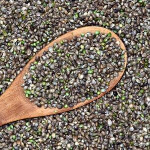 semi di canapa semi di canapa