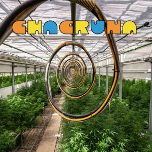 Chacrunasfarm-greenhouse-2021 Chacrunasfarm-greenhouse-2021