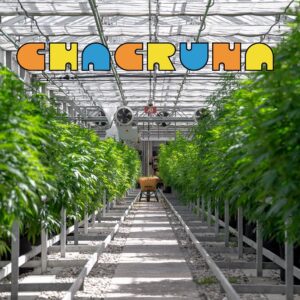 Chacrunasfarm-greenhouse1-2021 Chacrunasfarm-greenhouse1-2021