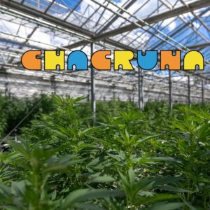 SERRA chacrunasfarm 2021 SERRA chacrunasfarm 2021