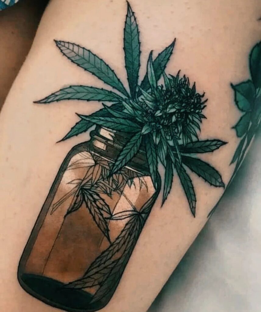 canapa cura tatuaggio canapa cura tatuaggio