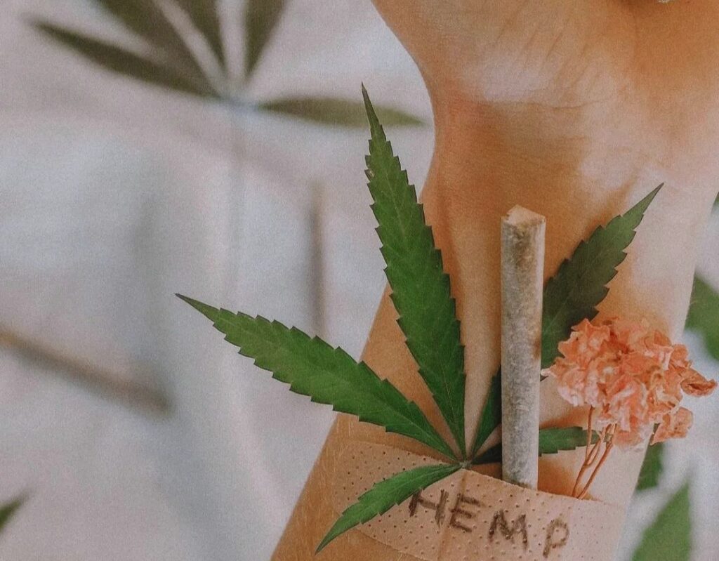 cbd endometriosi cbd endometriosi