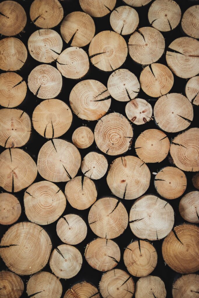 alexandre-jaquetoni-6yelWDI3RE8-unsplash canapa alternativa al legno
